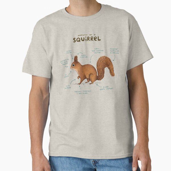 Anatomy of a Squirrel
